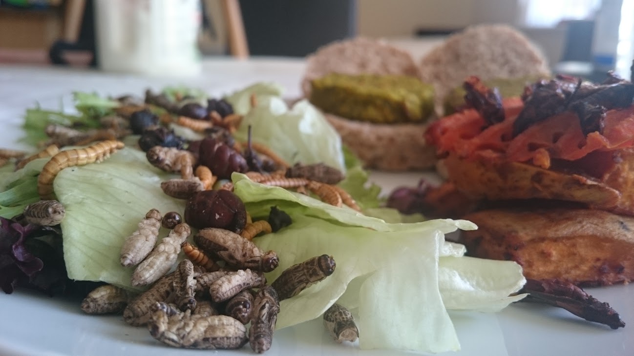 Guest Post: How Insect Protein has begun to reach the Western Fitness Industry